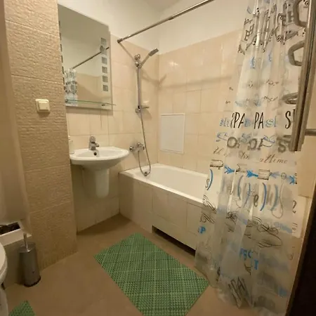 Next To Metro Station Pechersk Appartement